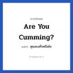 Are you cumming? แปลว่า?, วลีภาษาอังกฤษ Are you cumming? แปลว่า คุณจะเสร็จหรือยัง หมวด เพศ