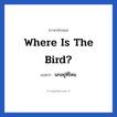 Where is the bird? แปลว่า?, วลีภาษาอังกฤษ Where is the bird? แปลว่า นกอยู่ที่ไหน